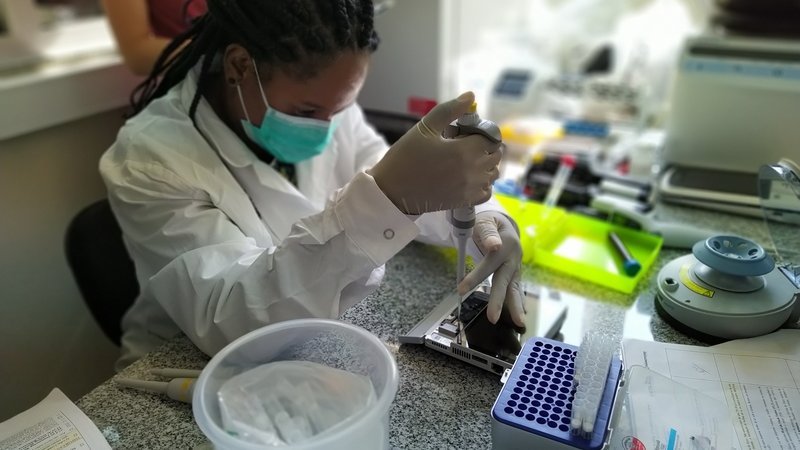 Eine Wissenschaftlerin übt konzentriert ein labordiagnostisches Verfahren an einem Arbeitstisch. Um sie herum sind diverses Equipment für die Labordiagnostik und Dokumente verteilt.