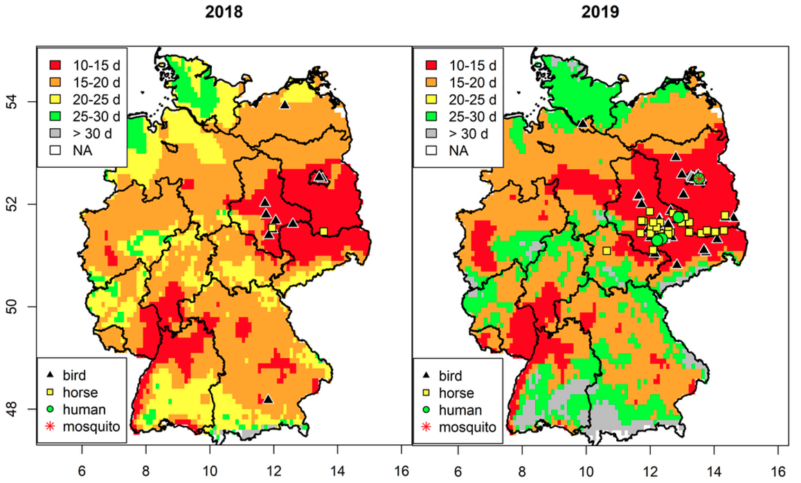 The graphic shows two colourful maps of Germany visualising the spatial risk of West Nile virus (WNV) transmission in Germany 2018/ 2019.